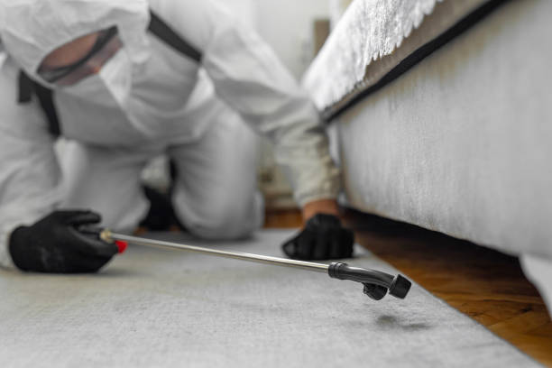 Professional Bed Bug Control technician working in Medford, OR