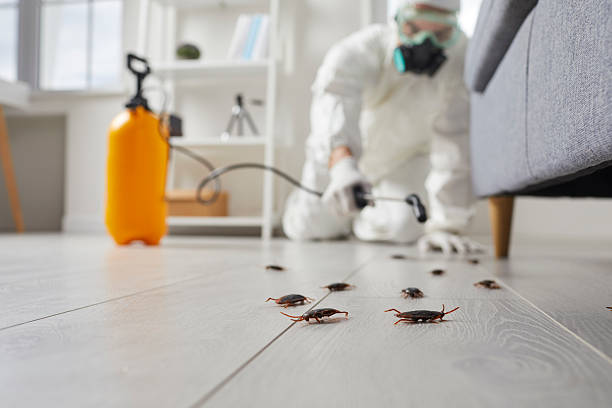 Trusted Cockroach Control service in Medford, OR - Nex Pest Control